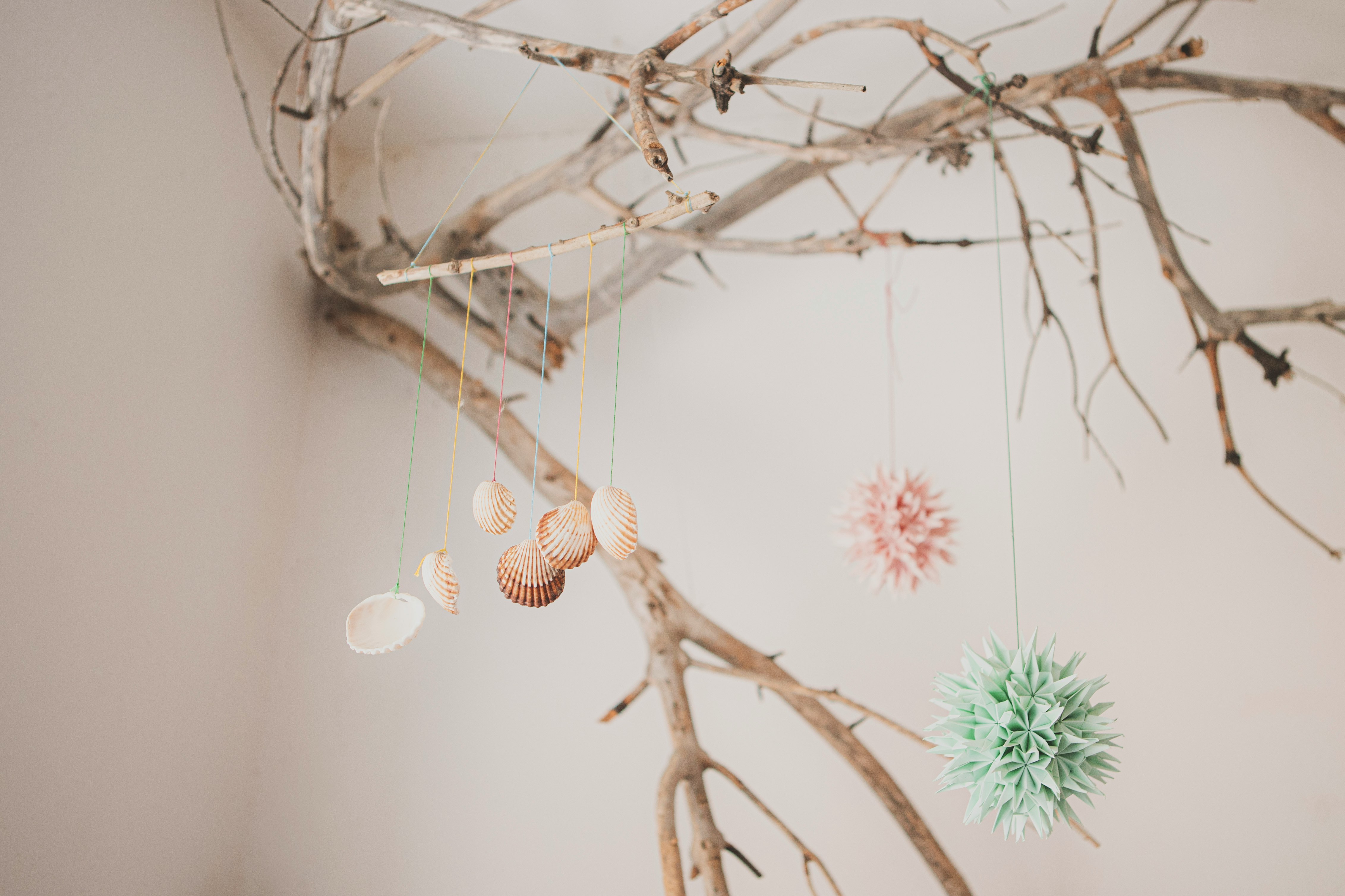 pink and green flowers on brown tree branch